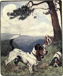 when were basset hounds bre